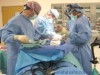 Med New Life a realizat o premiera medicala: implantarea primului stent resorbabil