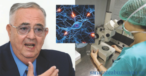 Directorul Institutului Victor Babes contesta eficienta terapiei cu celule stem