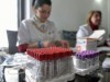 Specialistii Institutului Regional de Oncologie din Iasi au efectuat primele teste de oncogenetica din Romania