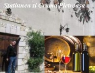 REPORTAJUL DE DUMINICA. EXCLUSIV: 120 de ani de viticultura sanatoasa la Pietroasele