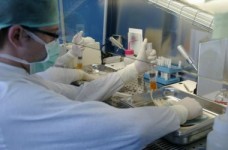 Ministerul Sanatatii va plati cotizatiile pentru accesul la registrul international al donatorilor de celule stem