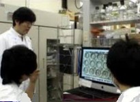 Japonezii au creat un ficat uman din celule stem