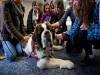 Studentii la Medicina Veterinara din Cluj scapa de stresul sesiunii cu ajutorul cainilor utilitari