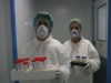 Pericolul unei epidemii de gripa porcina in Romania este ca si inexistent