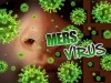 S-au descoperit anticorpi umani impotriva coronavirusului MERS