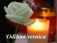 Condoleante dr. Liliana Craciunescu