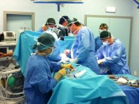 Elite ale chirurgiei din Romania si Serbia dezbat la Sibiu ultimele noutati in domeniu