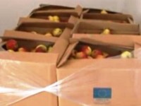 19 tone de mere de la Crucea Rosie pentru copiii si batranii institutionalizati din Buzau