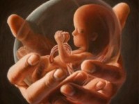 Avortul – tema nationala de dezbateri si controverse