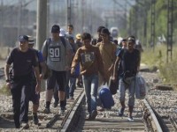 Problema imigrantilor pune autoritatile sanitare din Romania in alerta