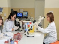 Institutul Cantacuzino spulbera suspiciunile de febra tifoida