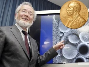 Nobelul pentru Medicina 2016 a fost castigat de Yoshinori Ohsumi