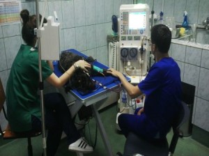 Dializa pentru animale, la o clinica veterinara clujeana