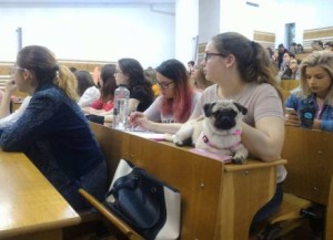 Animalele de companie participa la cursuri in cadrul Facultatii de Psihologie din Cluj