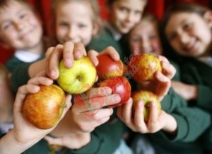 Dezbatere publica pe tema noului program de distribuire a fructelor in scoli
