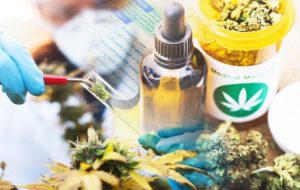Proiectul de lege pentru legalizarea canabisului medicinal, contestat de Sorina Pintea