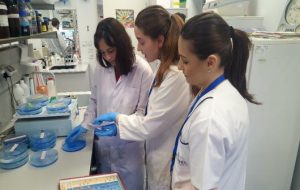 Institutul Cantacuzino a început pregătirea operatorilor care vor produce vaccinul gripal