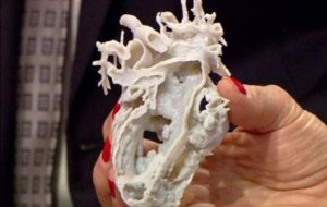 Componente funcționale ale inimii, obținute la imprimanta 3D