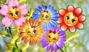 Zâmbete și flori