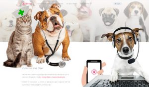 Posesorii de animale de companie pot discuta online cu un medic veterinar