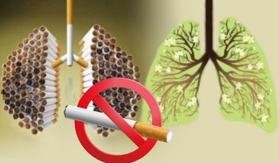 Cancel servant Chair Știi și câștigi sănătate: Despre tutun și fumat - Sănătatea Buzoiană