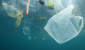 Poluarea cu plastic afectează și calitatea fructelor de mare