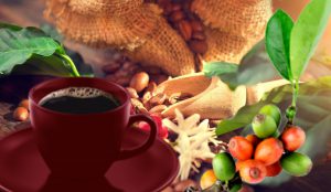 Știi și câștigi sănătate: Cafeaua, deliciu și remediu