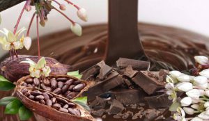 Știi și câștigi sănătate: Ciocolata, deliciul care ne protejează de boli și ne face mai fericiți