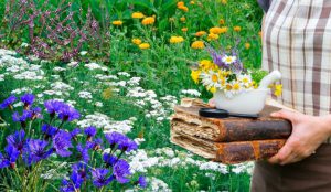 Știi și câștigi sănătate: Florile verii, izvor de sănătate