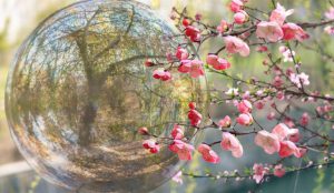 Echinocțiul de primăvară aduce armonie și le conferă oamenilor o stare de bine
