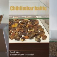 Chihlimbar baltic - Muzeul Colți
