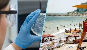 Teama de holeră a rărit turiștii pe litoral. Autoritățile de sănătate publică spun că nu există motive de teamă
