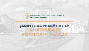 UMF Iași asigură cursuri gratuite de anatomie pentru admitere