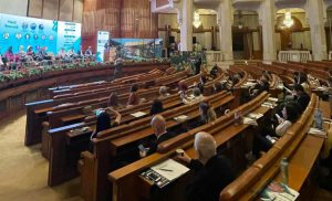 Stresul, o problemă cu posibile urmări ireversibile asupra sănătății