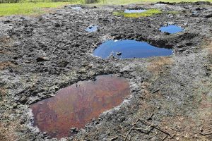 &nbsp;&nbsp;&bdquo;Aurul negru&rdquo; din Beciu, Ciupercile de la Od&#259;ile &#537;i Focul Viu de la Lop&#259;tari, atrac&#539;ii turistice &icirc;n Geoparcul &bdquo;&#538;inutul Buz&#259;ului&rdquo;