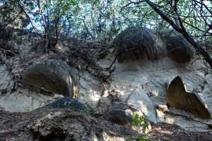 &nbsp;&nbsp;&bdquo;Aurul negru&rdquo; din Beciu, Ciupercile de la Od&#259;ile &#537;i Focul Viu de la Lop&#259;tari, atrac&#539;ii turistice &icirc;n Geoparcul &bdquo;&#538;inutul Buz&#259;ului&rdquo;