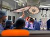 ANT: 16 pacienți salvați prin transplant, în ultimele patru zile